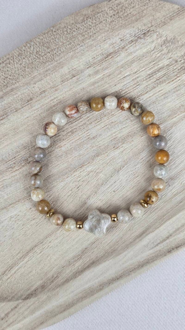 Koraal Fossiel klavertje