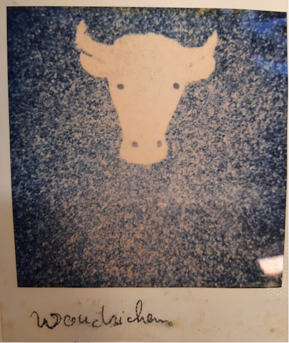 Terrazzovloer detail inleg