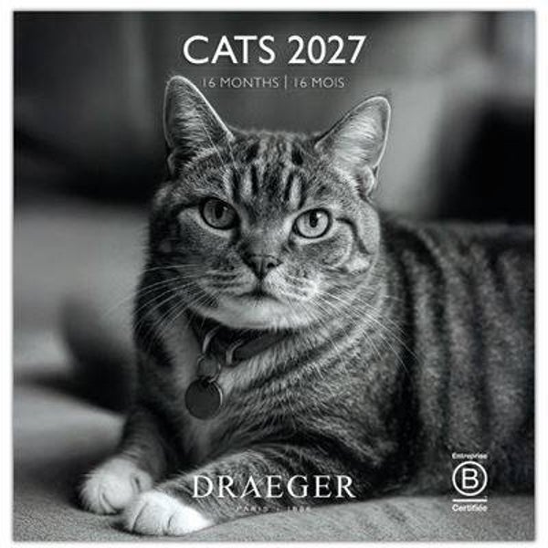 CALENDARIO 2027. 16 MESES (SEPTIEMBRE-DICIEMBRE). MES VISTA POR PÁGINA CON MOTIVOS DE GATOS BLANCO Y NEGRO DRAEGER
