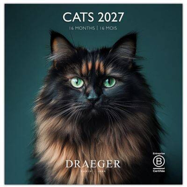 CALENDARIO 2027. 16 MESES (SEPTIEMBRE-DICIEMBRE). MES VISTA POR PÁGINA CON MOTIVOS DE GATOS DRAEGER