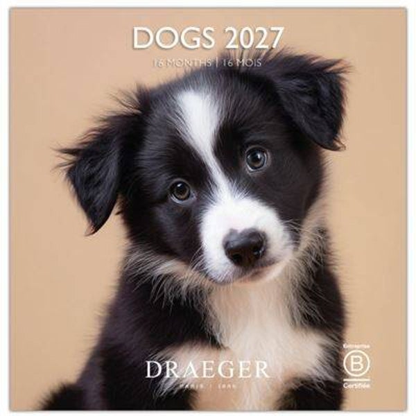 CALENDARIO 2027. 16 MESES (SEPTIEMBRE-DICIEMBRE). MES VISTA POR PÁGINA CON MOTIVOS DE PERROS DRAEGER