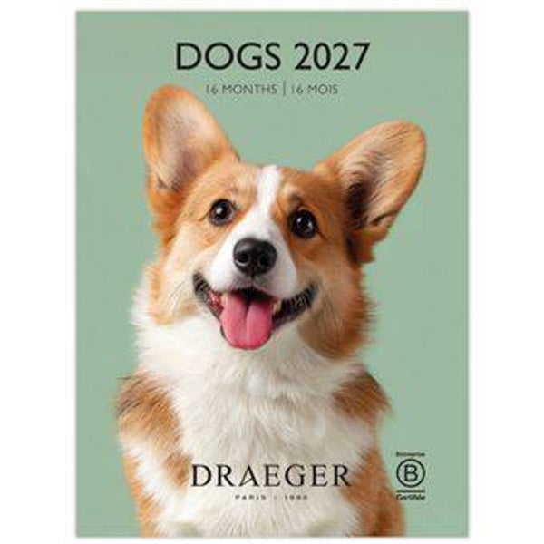CALENDARIO 2027. 16 MESES (SEPTIEMBRE-DICIEMBRE). MES VISTA POR PÁGINA CON MOTIVOS DE PERROS DRAEGER