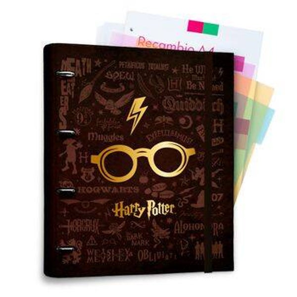 CARPEBLOCK 4 ANILLAS PREMIUM HARRY POTTER
