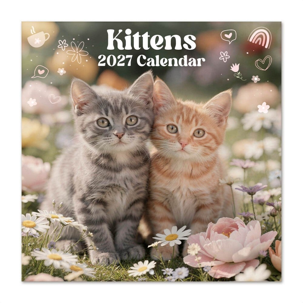 CALENDARIO 2027 30X30 GATOS