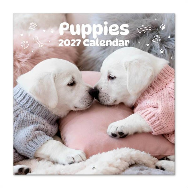 CALENDARIO 2027 30X30 PERRITOS