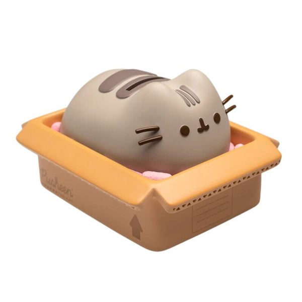 HUCHA GATO PUSHEEN