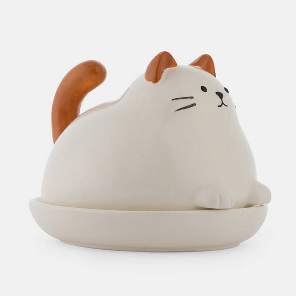 MANTEQUILLERA GATO
