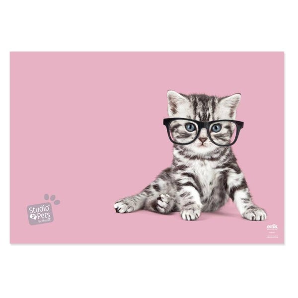VADE ESCOLAR STUDIO PETS CATS 2019