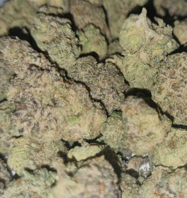 Gushers cali highgrade