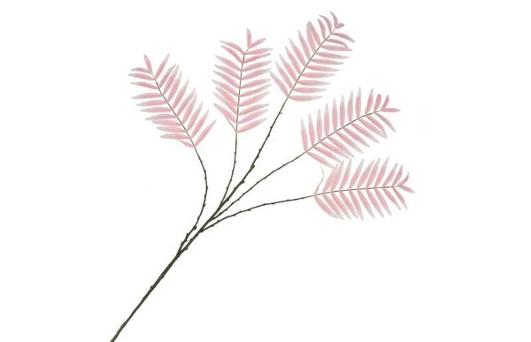 Palm leaf roze