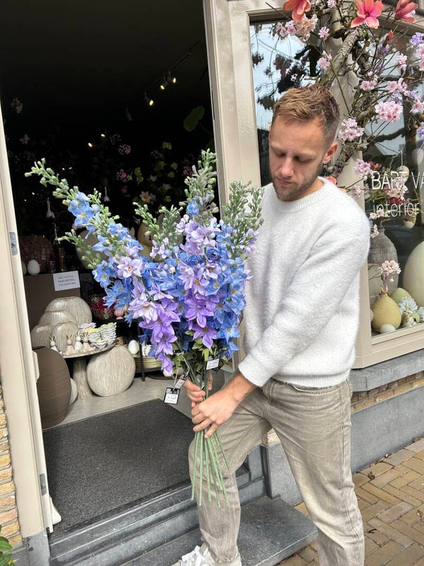 Zijden tak Delphinum