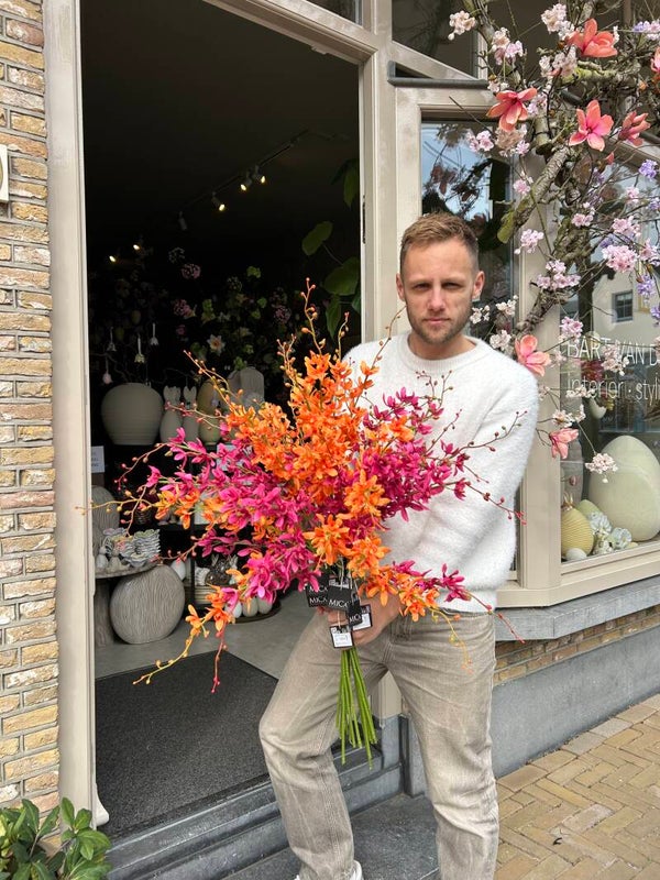Zijden tak orchidee