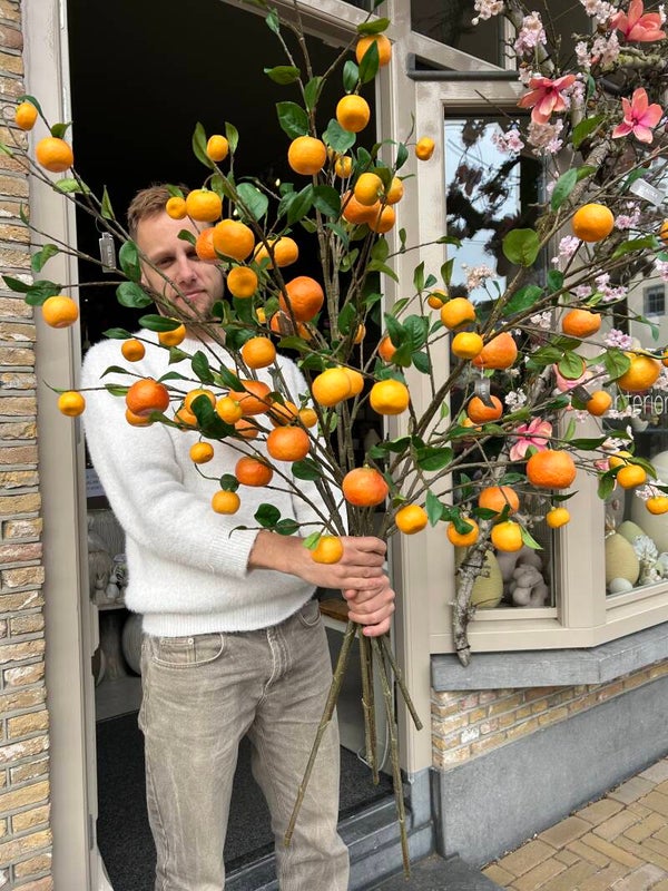 Zijden tak Sinaasappel