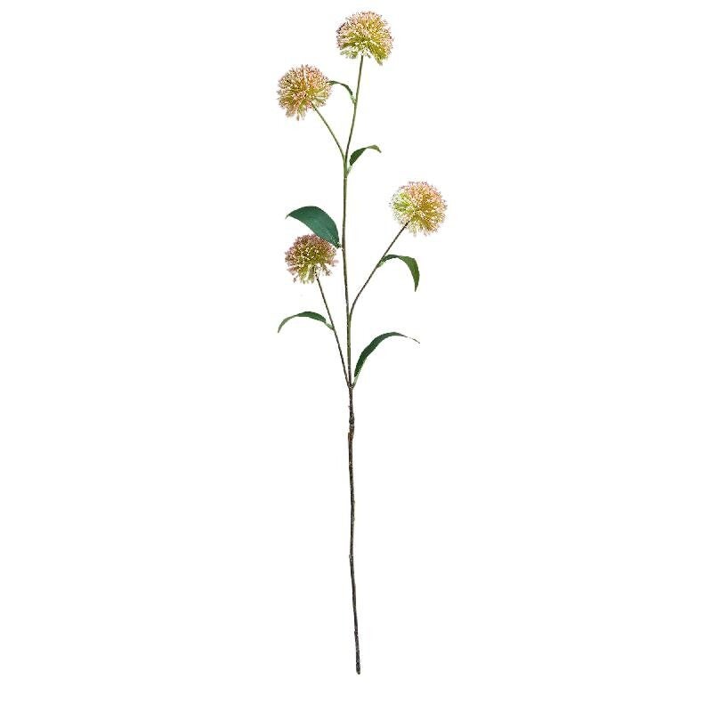 Allium takken roze