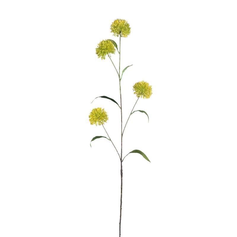 Allium tak geel