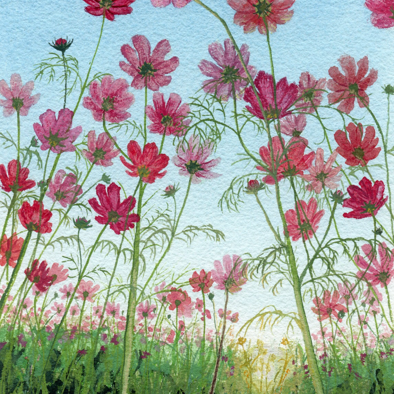 Gouache schilderij van cosmea bloemen met zonsondergang