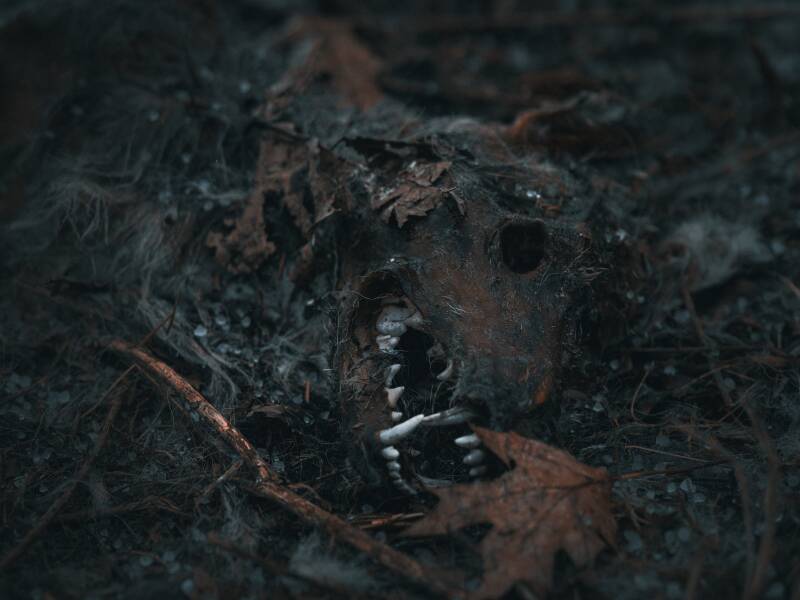 Death_Looms.