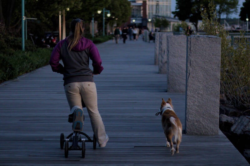 Through Thick and Thin.