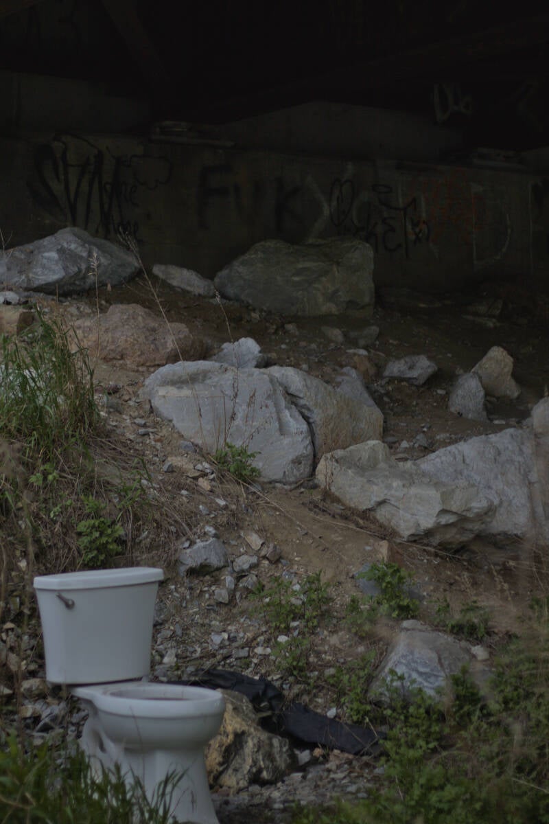 Throne of the Bowery