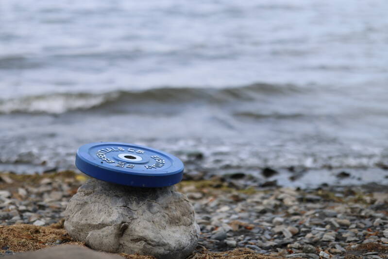 Weight of the World.