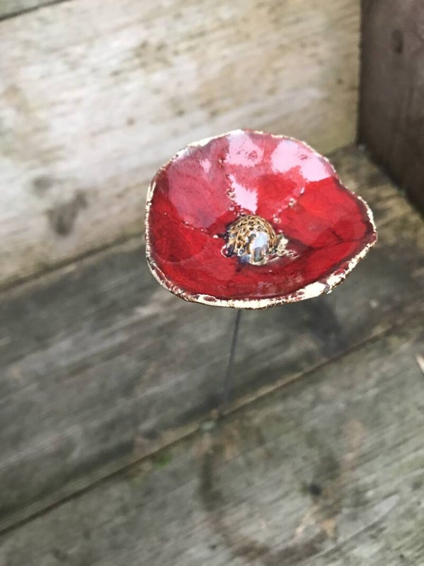 Doneer een poppy