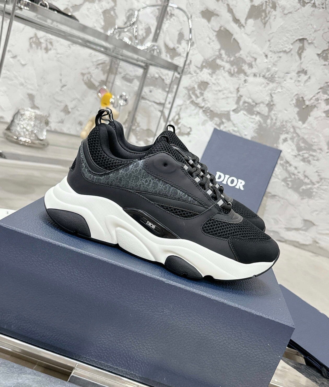 Dior B22 Schwarz&Weiß