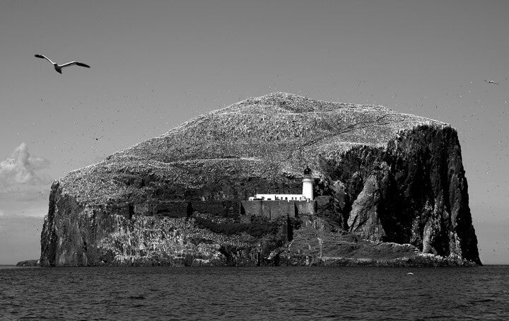 Bass Rock