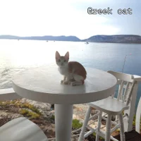 1000035685-standard.webp