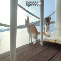 1000035718-standard.webp