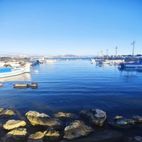 bateau5-standard.jpg