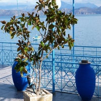 bleu2-standard-txj01m.jpg