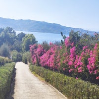 bougain16-standard-qhamcx.jpg