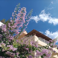 bougain4-standard.jpg
