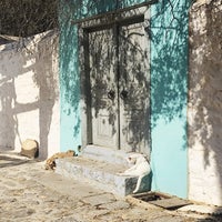 chatgrec12-standard-xnmxbx.jpg