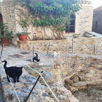 chatgrec4-standard.jpg