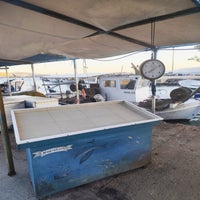 fishmarket2-standard-w0s6mu.jpg