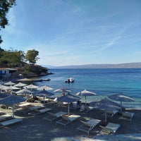 plagehydra1-standard.jpg