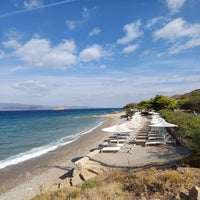 plagehydra2-standard-ox3p9l.jpg