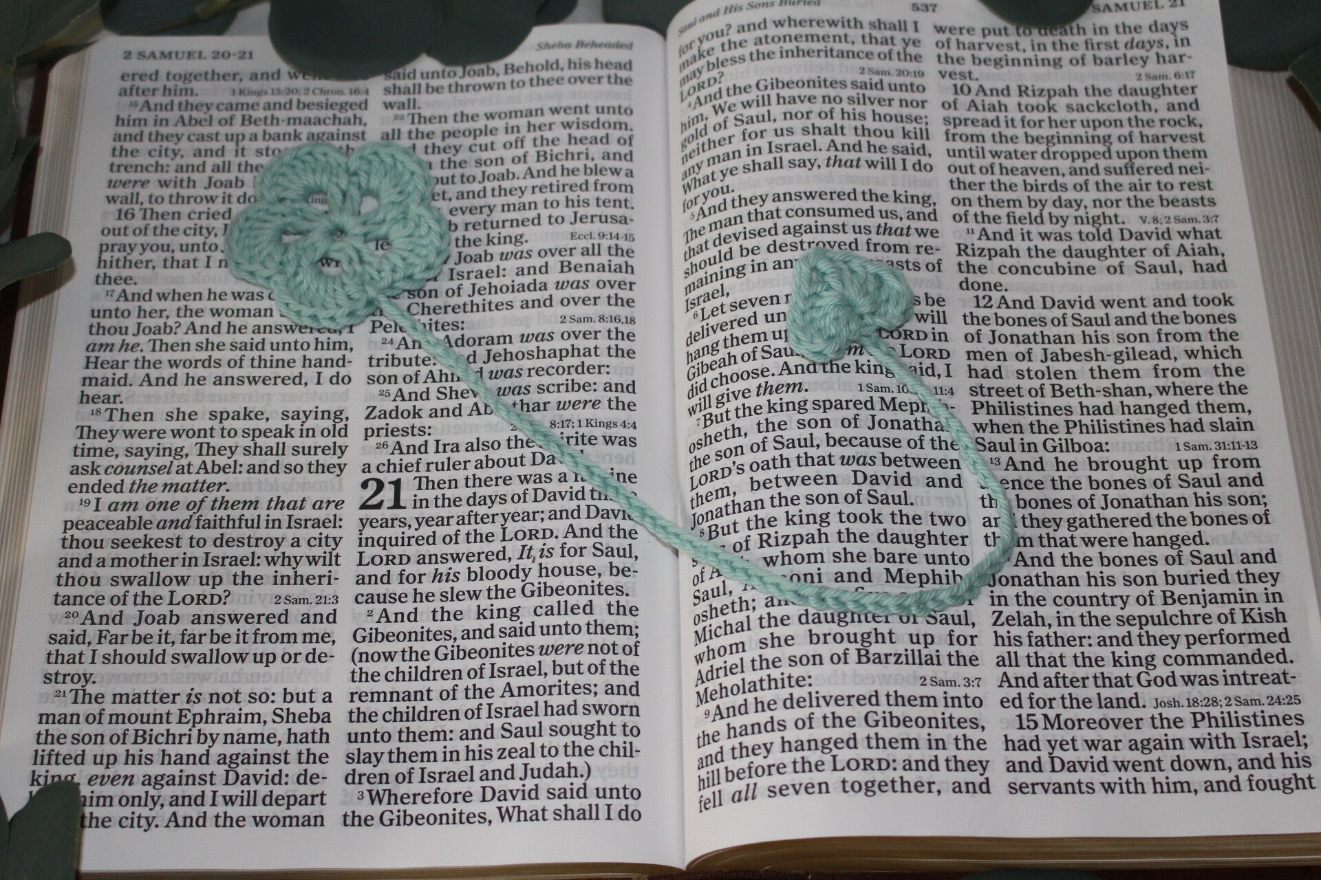 CRBM-008 Crochet Bookmarker