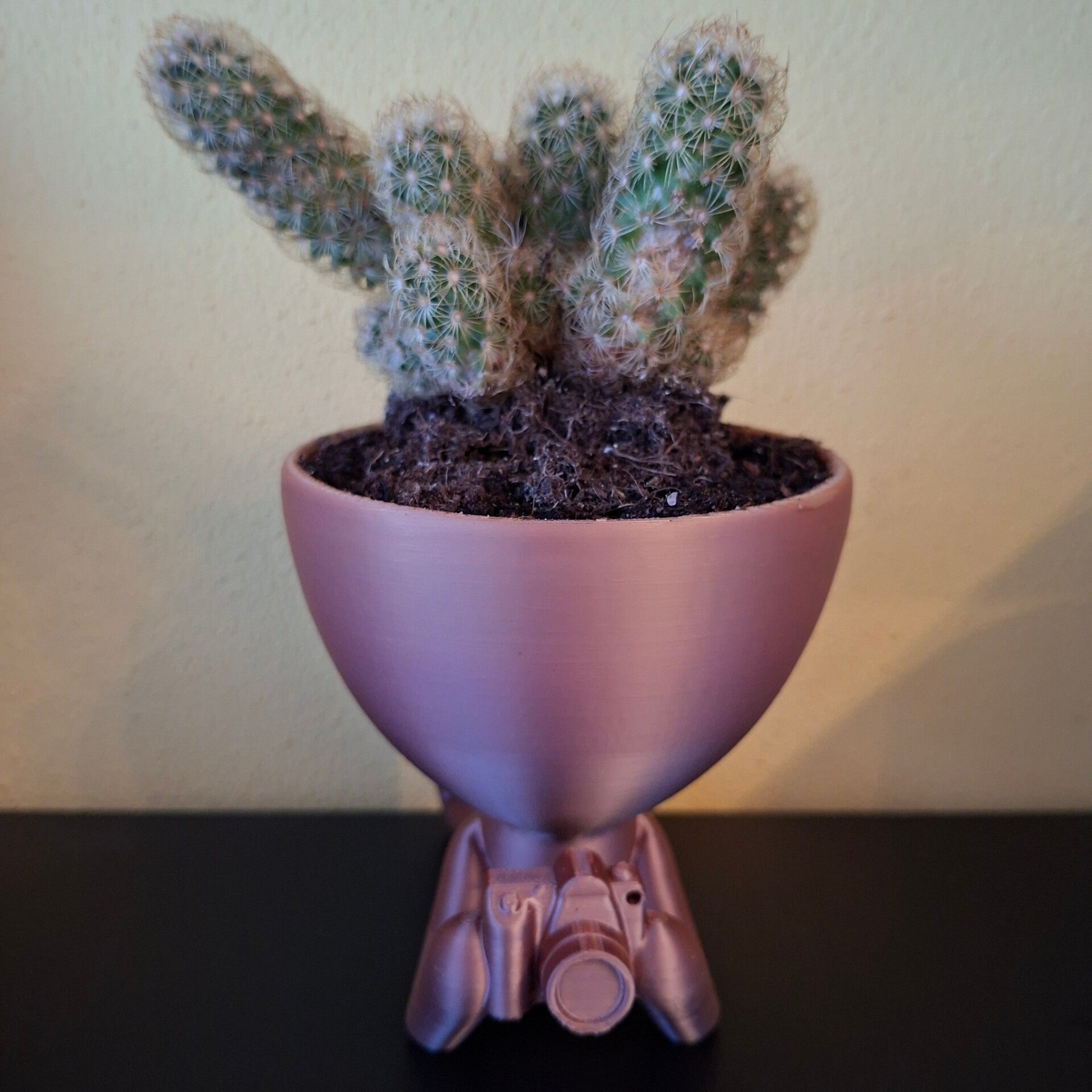 Fotograaf Plantenpot