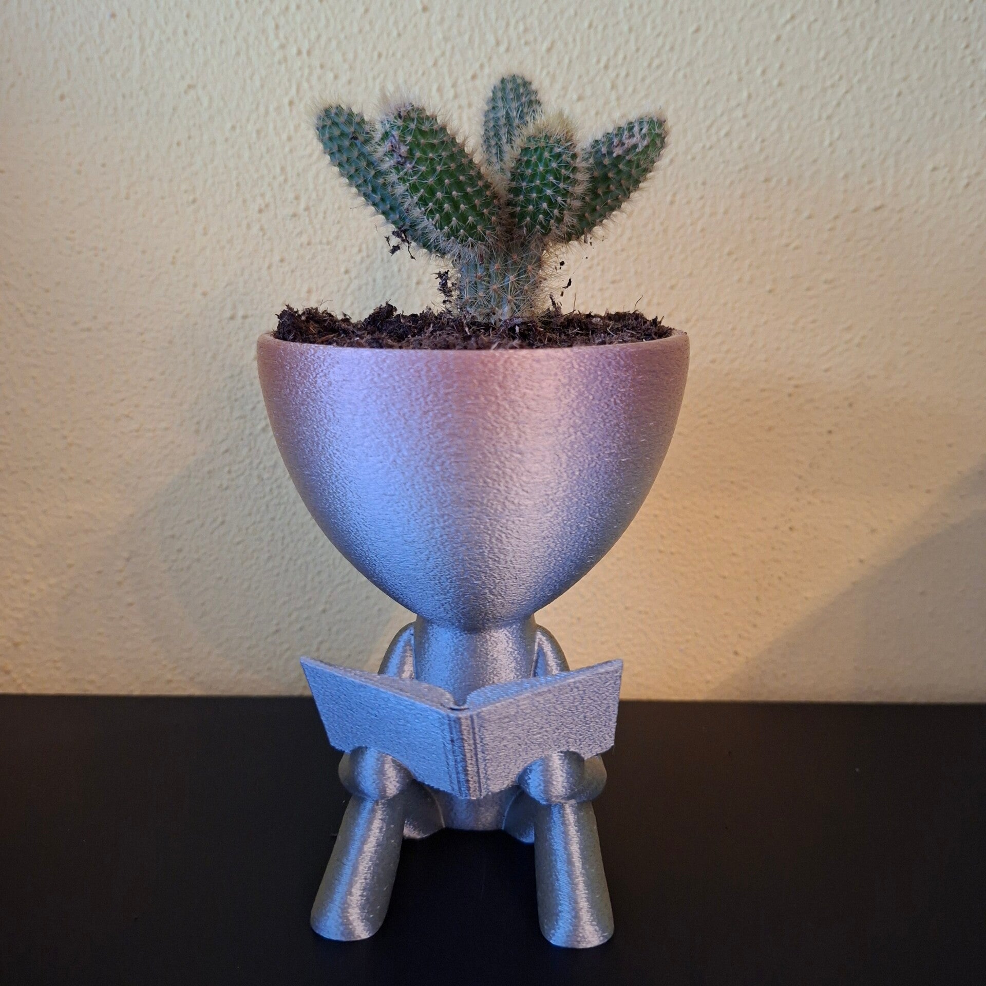 Lezende Plantenhouder