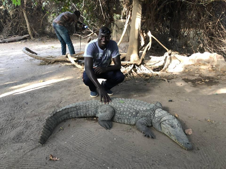 Man raakt krokodil aan