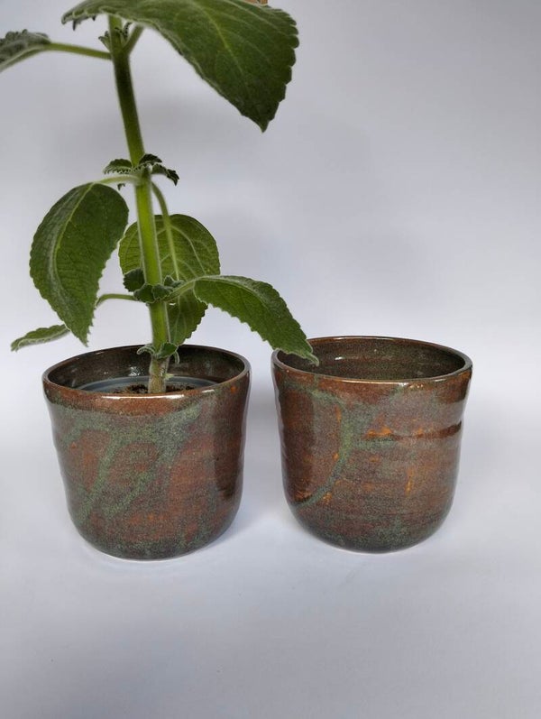 Bloempot