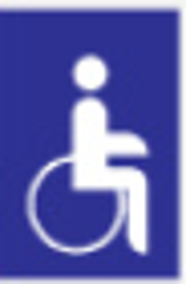 Mini picto Invalide 126x 10x10mm