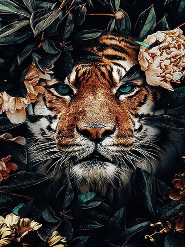 Diamond Painting Canvas 40x30cm - Painting 35x25cm Tiger