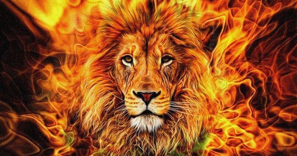Diamond Painting Canvas 40x30cm - Painting 35x25cm Lion Flame