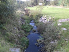 dsci0846.jpg