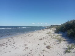 img_20220901_141030.jpg