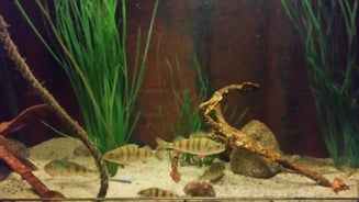 20160706_112723-standard.jpg