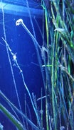 20160706_113139-standard.jpg